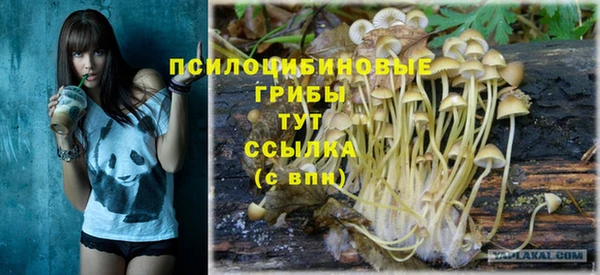 apvp Аркадак