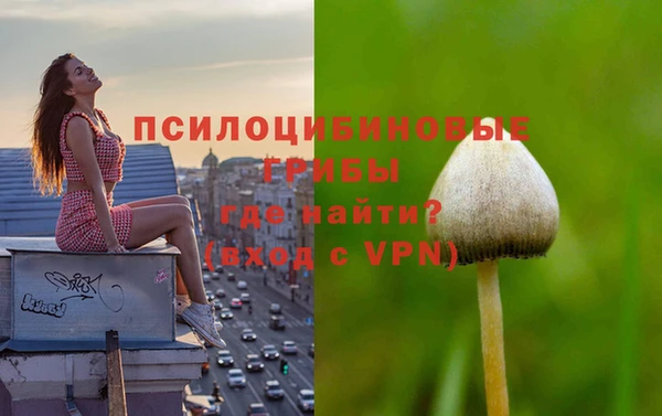 прущая мука Баксан